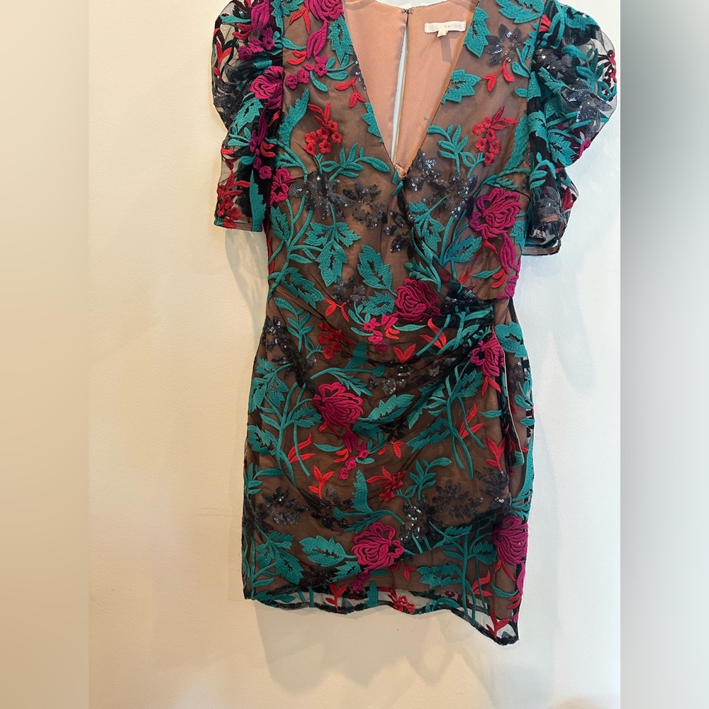 Floral Embroidered V-Neck Dress